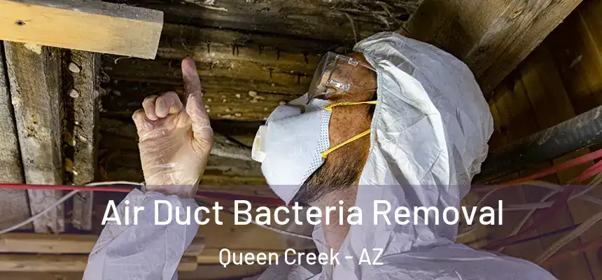  Air Duct Bacteria Removal Queen Creek - AZ