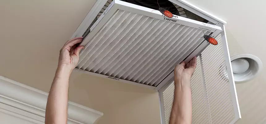 Preventive Cockroach-Proofing for Ducts in Queen Creek