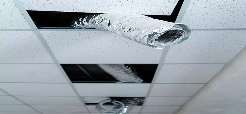 Affordable HVAC Sanitizing After Pest Removal in Queen Creek