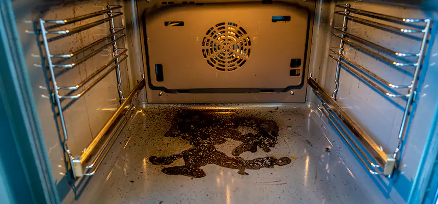 Our Dryer Vent Mold Cleaning Services in Queen Creek, AZ