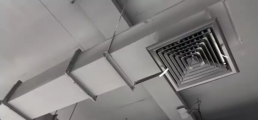 Our Rodent Droppings In Vents Services in Queen Creek, AZ