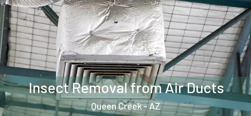 Insect Removal from Air Ducts Queen Creek - AZ