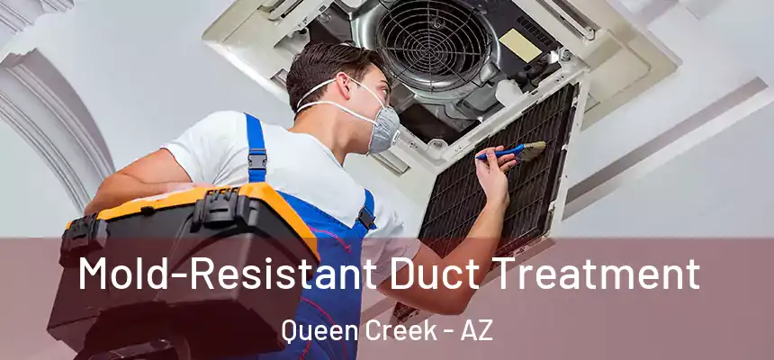 Mold-Resistant Duct Treatment Queen Creek - AZ