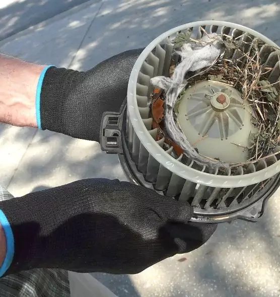 About Air Duct Mice Removal in Queen Creek, AZ