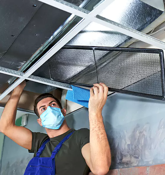 Professional Air Duct Pollen Cleaning in Queen Creek, AZ