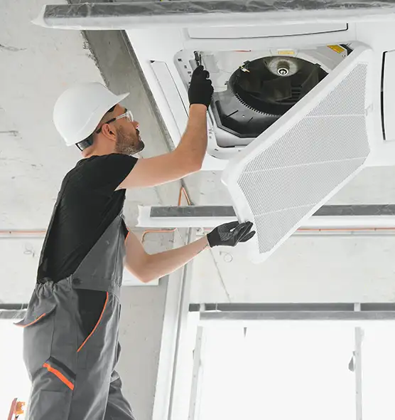 About Air Duct Rodent Removal in Queen Creek, AZ