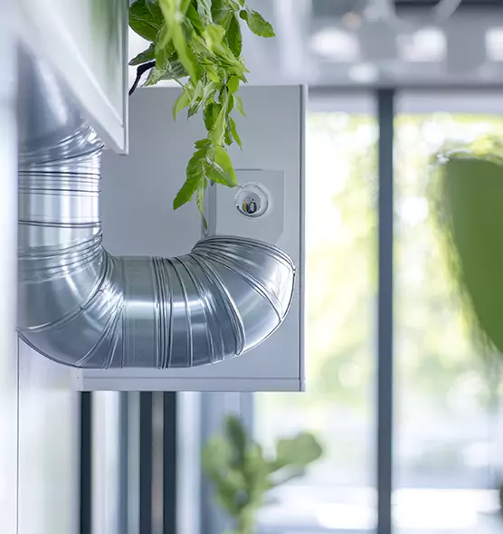 Professional Eco-Safe Dryer Vent Cleaning in Queen Creek, AZ