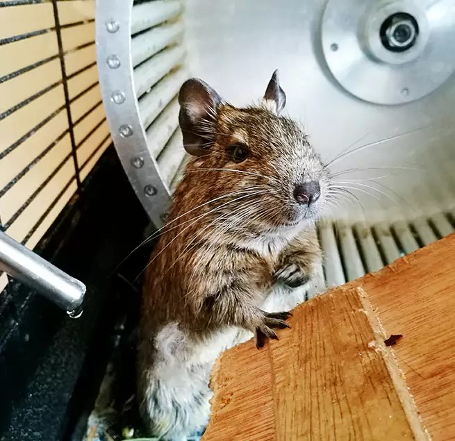 Why Homeowners & Businesses Trust Us Queen Creek, AZ?