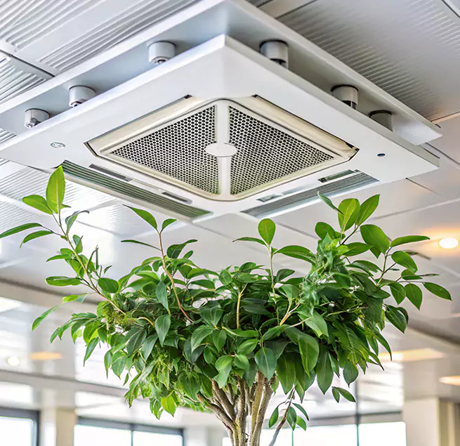 Why Homeowners & Businesses Trust Us in Queen Creek, AZ