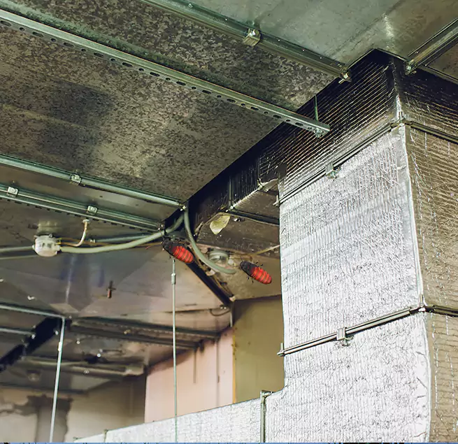 Why Homeowners & Businesses Trust Us Queen Creek, AZ?